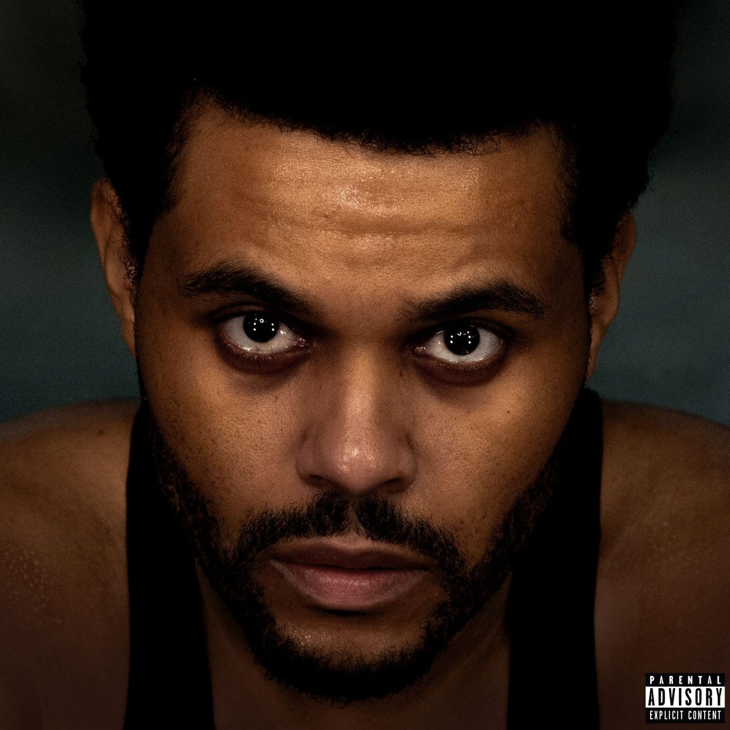 Hurry Up Tomorrow (LP)