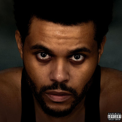 Hurry Up Tomorrow (LP)