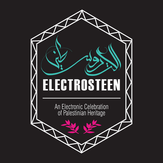 Electrosteen (LP)