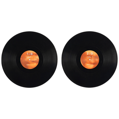 Channel Orange (2LP)