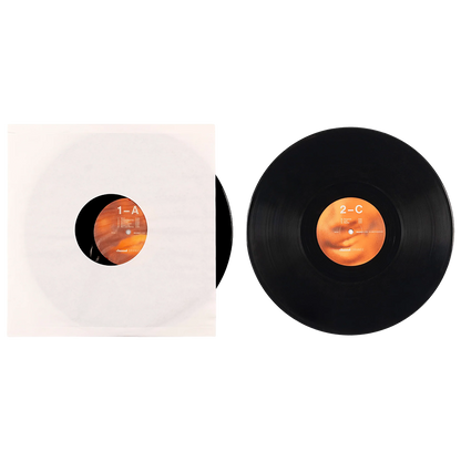 Channel Orange (2LP)